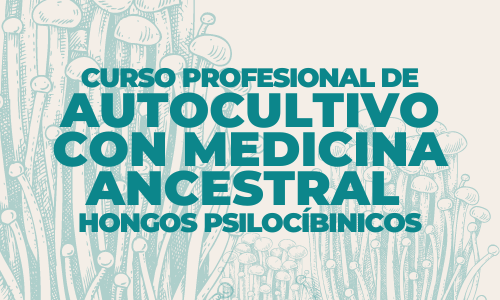 Autocultivo con Medicina Ancestral  Hongos Psilocíbinicos